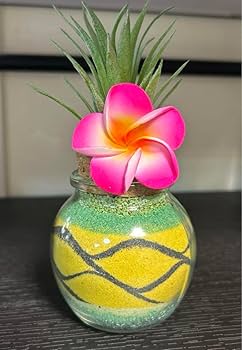 カラーサンドアート Amazon.co.jp: カラーサンドアート パイナップル サンドアート